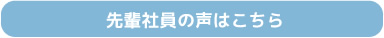 先輩社員の声はこちら